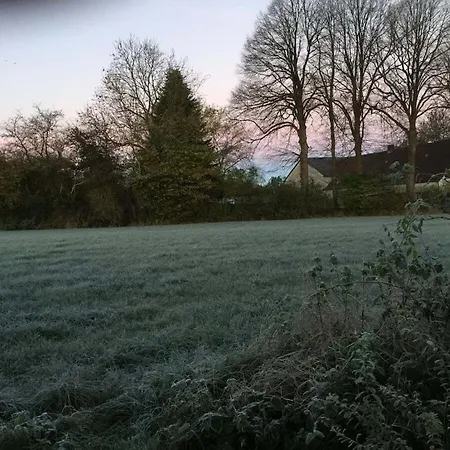 In With Barbecue Tatil Evi *